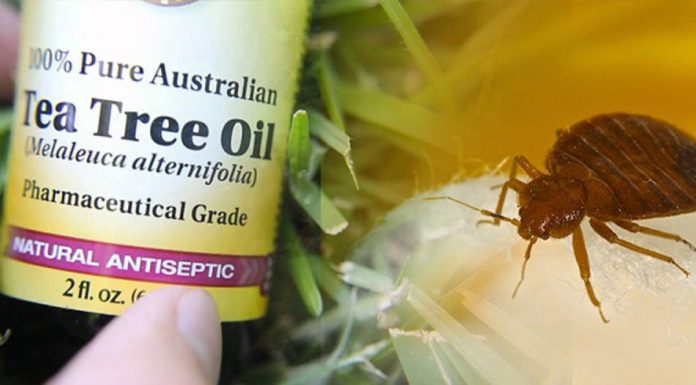 Ezt ne tegye, ágyi poloska ellen