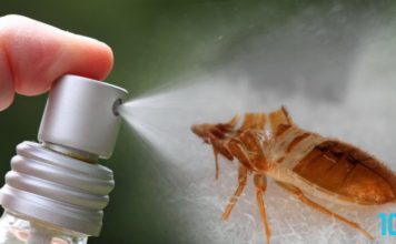 Ágyi poloska irtószerek ágyi poloska irtószerek