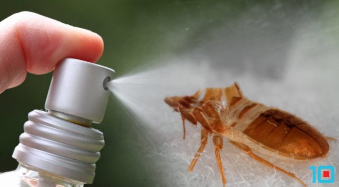 Ágyi poloska irtószerek ágyi poloska irtószerek