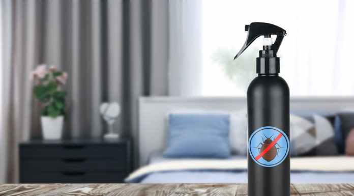 Ágyi poloska irtás házilag