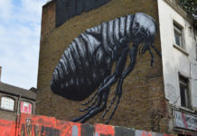 Bolhairtás bolhairtás