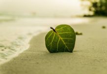 Fertőtlenítés gőzzel fertőtlenítés gőzzel