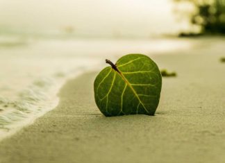 Fertőtlenítés gőzzel fertőtlenítés gőzzel