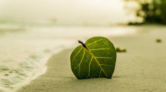 Fertőtlenítés gőzzel fertőtlenítés gőzzel