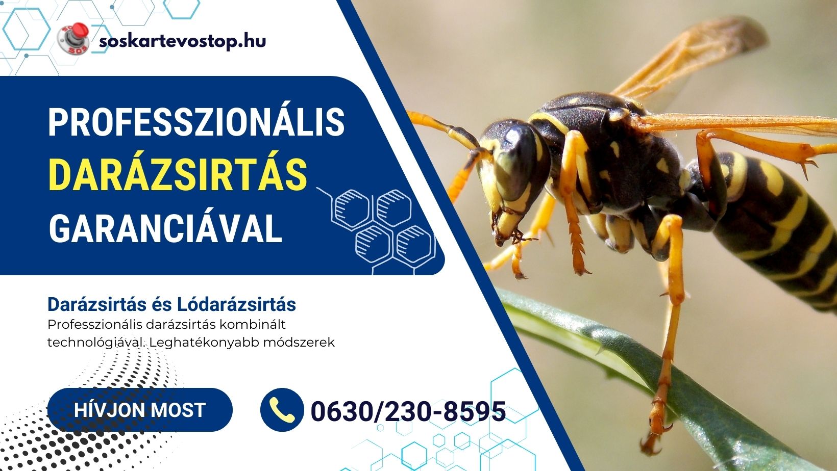 Darázsirtás házilag