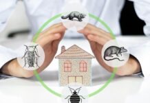 Ingatlan vásárlás előtt ingatlan vásárlás előtt