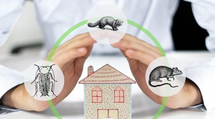 Ingatlan vásárlás előtt ingatlan vásárlás előtt