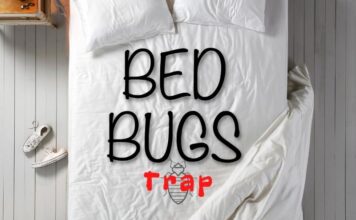 Ágyi poloska csapda ágyi poloska csapda