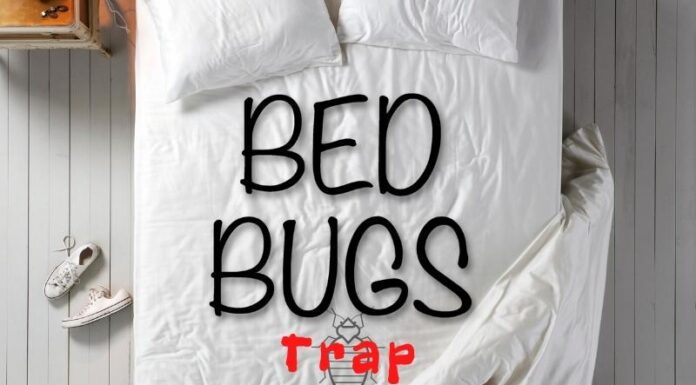 Ágyi poloska csapda ágyi poloska csapda