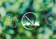 Vegyszermentes rovarirtás vegyszermentes rovarirtás