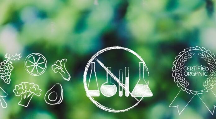 Vegyszermentes rovarirtás vegyszermentes rovarirtás