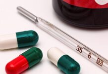 Legyek terjesztette betegségek legyek terjesztette betegségek