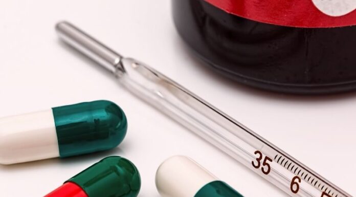 Legyek terjesztette betegségek legyek terjesztette betegségek