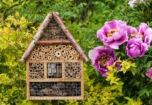 Rovarhotel rovarhotel