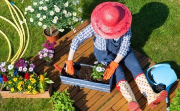 Hasznos rovarok hasznos rovarok