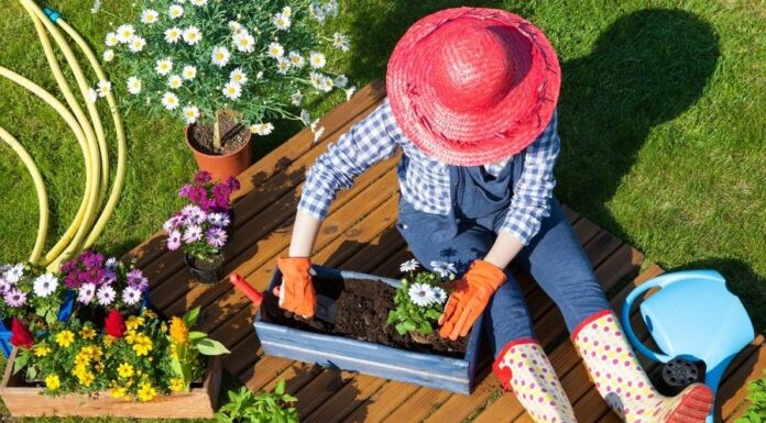 Hasznos rovarok hasznos rovarok