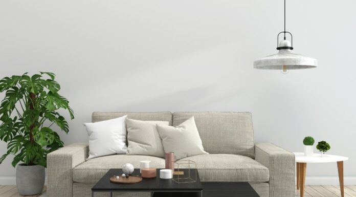 Rovarok az ágy alatt rovarok az ágy alatt