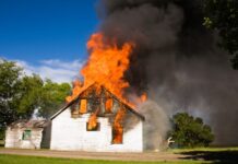 Égett a ház a nyest miatt Égett a ház a nyest miatt