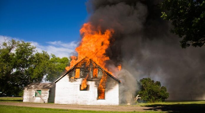 Égett a ház a nyest miatt Égett a ház a nyest miatt