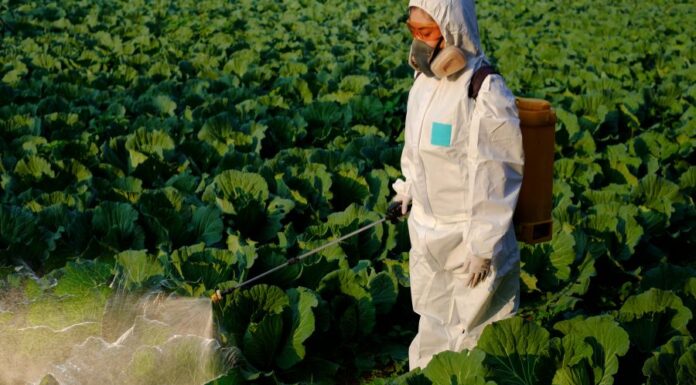 AgriMotor akkumulátoros permetező AgriMotor akkumulátoros permetező