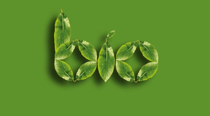 Bio ágyi poloska irtás bio ágyi poloska irtás