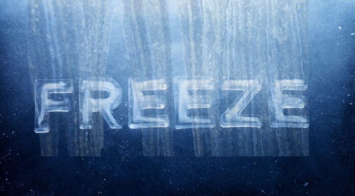 Fagyasztó spray rovarok ellen Fagyasztó spray rovarok ellen