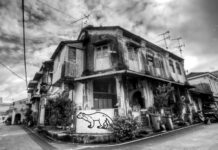 Brutális nyestkárok a panzióban Brutális nyestkárok a panzióban