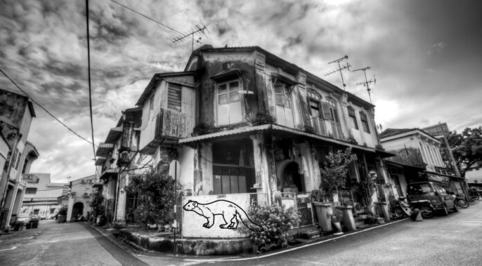 Brutális nyestkárok a panzióban Brutális nyestkárok a panzióban