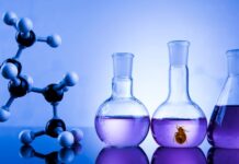 Legjobb ágyi poloska irtószer Legjobb ágyi poloska irtószer