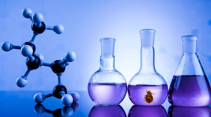 Legjobb ágyi poloska irtószer Legjobb ágyi poloska irtószer