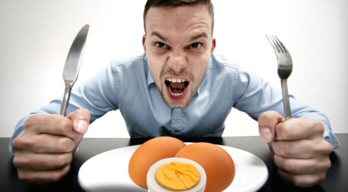 Mit eszik a nyest? mit eszik a nyest