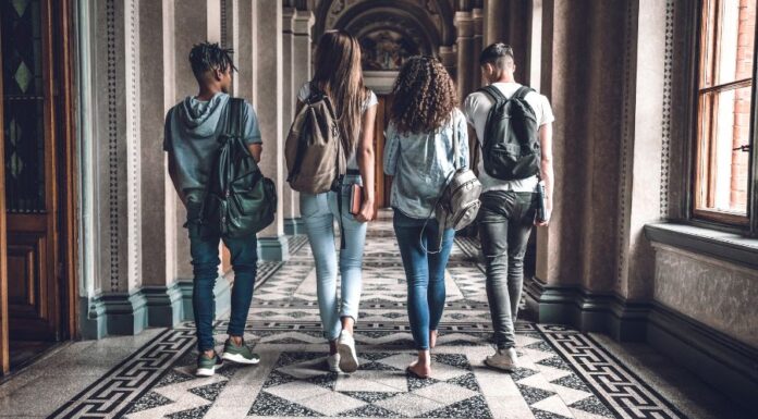 Ágyi poloska fertőzés a kollégiumban Ágyi poloska fertőzés a kollégiumban